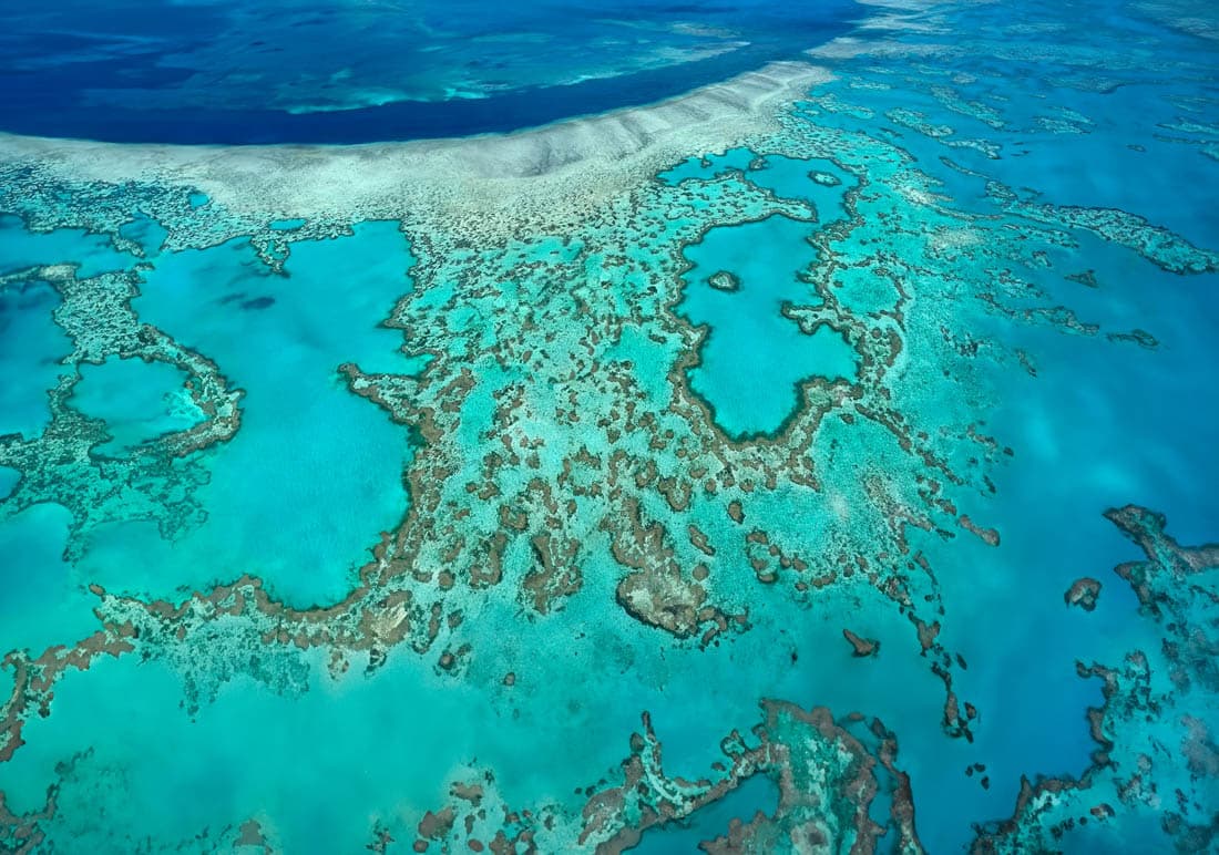 Survoler les îles Whitsunday : hydravion, avion ou hélicoptère ?